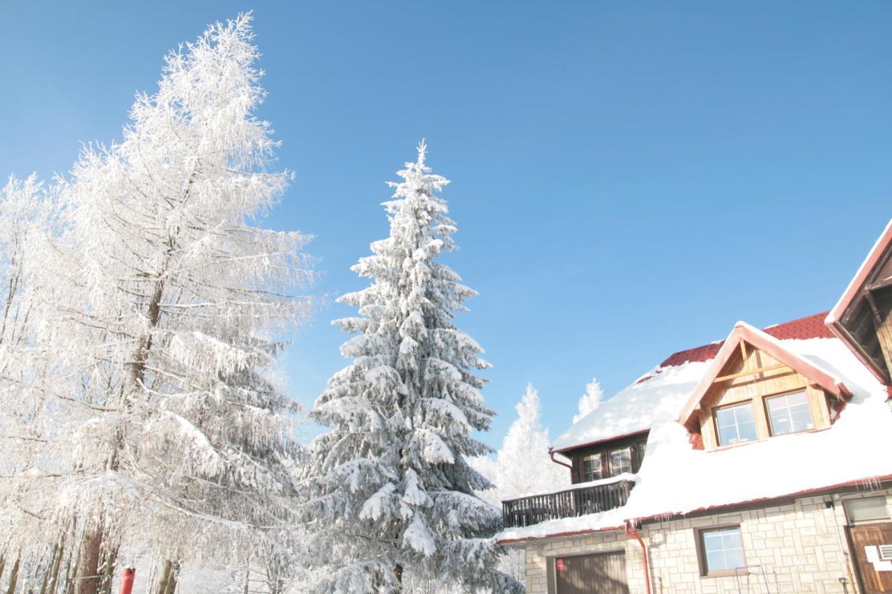 Czajka Bed and Breakfast Szklarska Poręba Εξωτερικό φωτογραφία